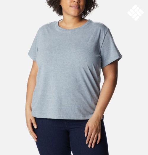 Women's Columbia Sapphire Point Short Sleeve T Shirts Grey | Plus Size CA-T0A81